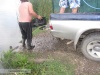 Popularea din luna Iulie, 2018